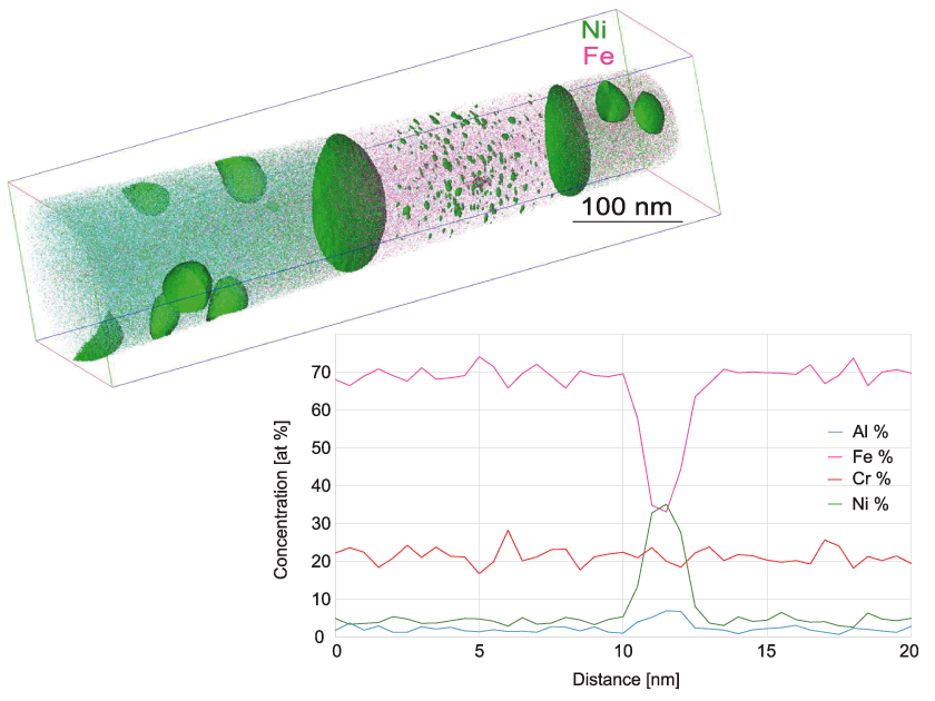 Atom Probe Tomography of an iron-based superalloy