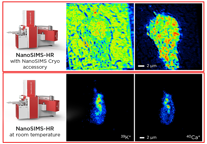 Neuron analysis with NanoSIMS Cryo